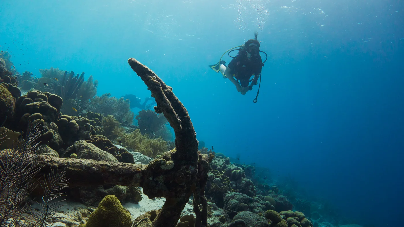 Snorkelen en duiken op Bonaire