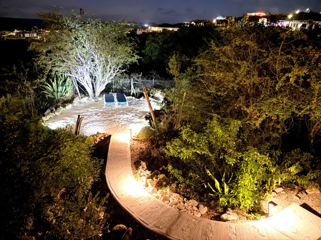 De verlichte tuin in de avond