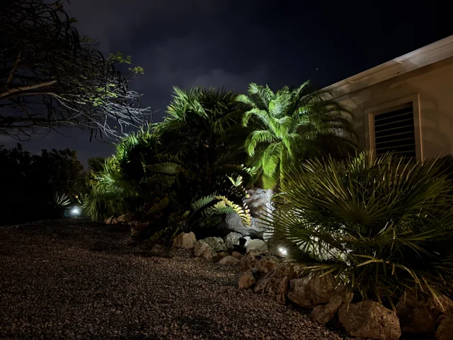 Palmen en natuurstenen in de verlichte tuin